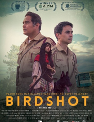 Birdshot streaming