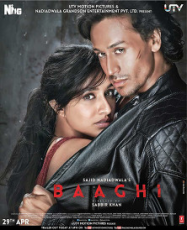 Baaghi streaming