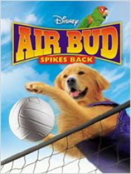 Airbud 5 : superstar streaming