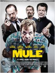 The Mule streaming