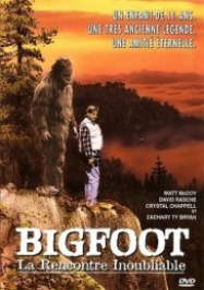 BIGFOOT La rencontre inoubliable streaming