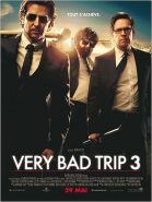 Very Bad Trip 3 streaming