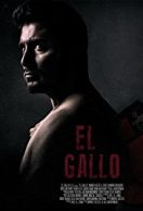 El Gallo streaming