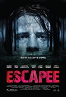 Escape streaming