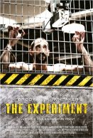 The Experiment streaming