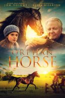 Orphan Horse streaming