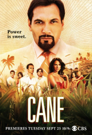 Cane : La vendetta streaming