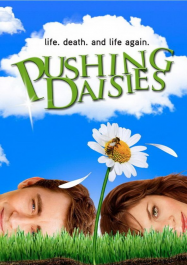 Pushing Daisies streaming